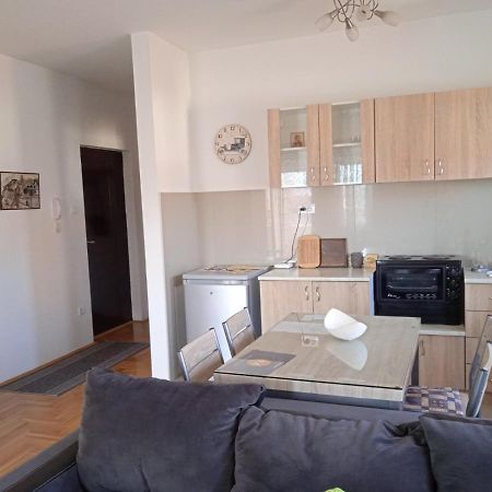 Apartment Srebrni Oblak Arandjelovac Ngoại thất bức ảnh